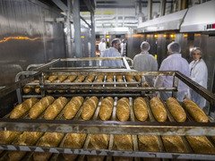 Робота в Словаччині на хлібокомбінаті, зарплата 1200 Євро на місяць