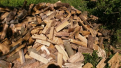 Дрова Луцьк продам колоті дрова в Луцьку ціна доставка