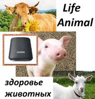 Прибор Life Animal для лечения животных дома.  4 уровня мощности